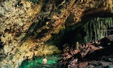 Jozani Forest, Kuza Cave, and a Spice tours